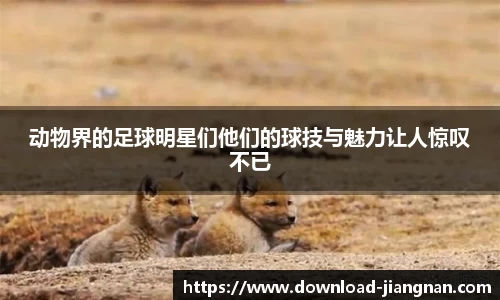 动物界的足球明星们他们的球技与魅力让人惊叹不已